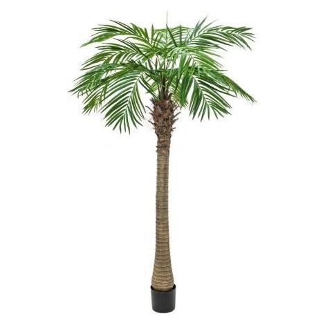 Europalms Phönixpalme luxor, Kunstpflanze, 240cm (240 cm) (82510722)