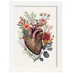 POSTER Anatomie Herz A3 Weißer Rahmen