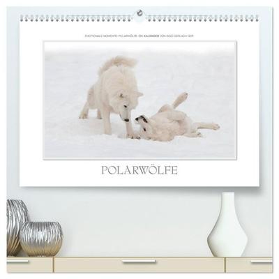 Emotionale Momente: Polarwölfe. / CH-Version (hochwertiger Premium Wandkalender 2027 DIN A2 quer), Kunstdruck in Hochglanz