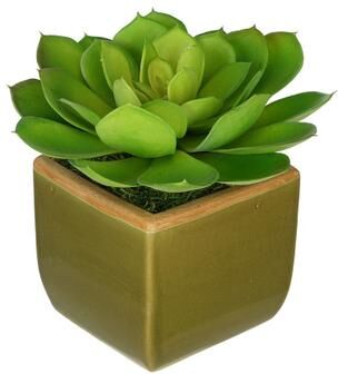House of Silk Flowers Faux Echeveria Succulent in Olive Green Ceramic Vase