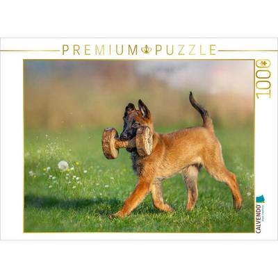 CALVENDO Puzzle Ein Motiv aus dem Kalender Traumhund Malinois | 1000 Teile Lege-Größe 64x48cm Foto-Puzzle für glückliche Stunden