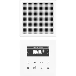 Jung DABLS1WW Smart Radio DAB+, Set Mono 1fach, Serie LS, alpinweiß DAB LS1 WW
