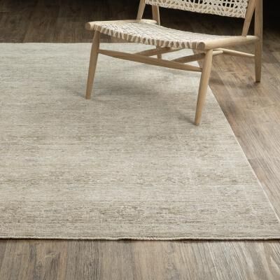 Style Haven Amira Distressed Traditional Beige/ Grey Area Rug-