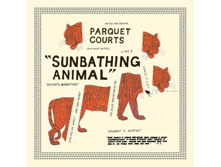 Parquet Courts - Sunbathing Animal