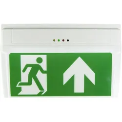 B-Safety, Sicherheitskennzeichnung, B STY LED Fluchtweg Notbeleuchtung Deckenaufbaumontage, Wandaufbaumontage Ausgang, Rettungsweg