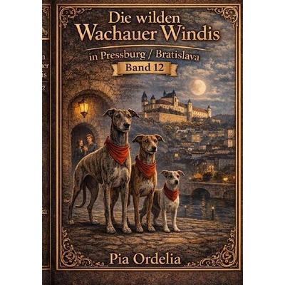 Die Wilden Wachauer Windis / Stadzführer Pressburg - Bratislava Band 12, Taschenbuch von Johann Prem, Epubli, 978-3-565-33456-8