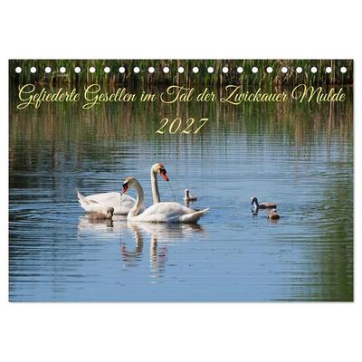 Gefiederte Gesellen im Tal der Zwickauer Mulde (Tischkalender 2027 DIN A5 quer), CALVENDO Monatskalender