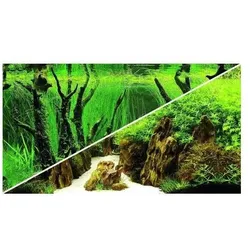 Hobby Canyon,Woodland, Aquarium