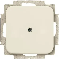 Busch-Jaeger Blindzentralscheibe ws 2538-212