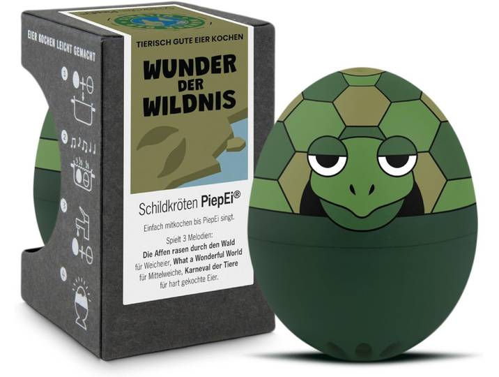Singende Eieruhr Schildkröten
