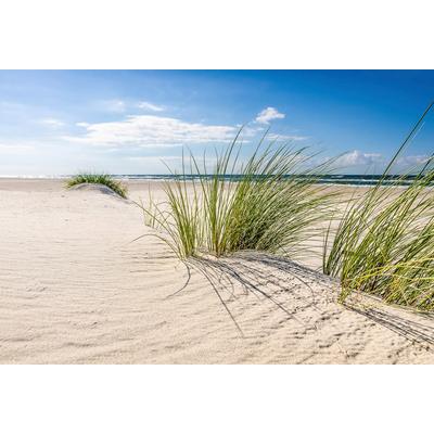 Fototapete PAPERMOON "DÜNEN-NATUR NORD SEE SAND STRAND MEER WÜSTE LANDSCHAFT", bunt, B:5m L:2,8m, Vlies, Tapeten