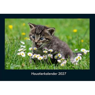 Haustierkalender 2027 Fotokalender DIN A4