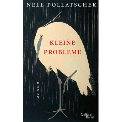 Kleine Probleme, Gebundene Ausgabe von Nele Pollatschek, Galiani Berlin ein Imprint von Kiepenheuer & Witsch, 978-3-86971-240-6
