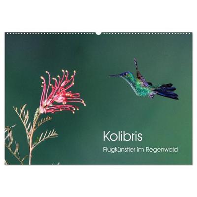 Kolibris - Flugkünstler im Regenwald (Wandkalender 2027 DIN A2 quer), CALVENDO Monatskalender