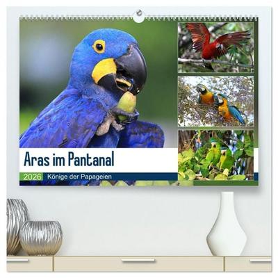 Aras im Pantanal (hochwertiger Premium Wandkalender 2026 DIN A2 quer), Kunstdruck in Hochglanz