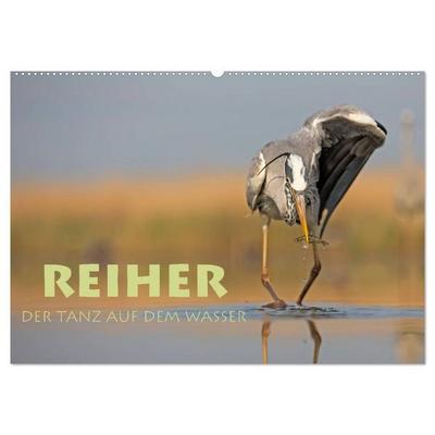 Reiher - Der Tanz auf dem Wasser (Wandkalender 2026 DIN A2 quer), CALVENDO Monatskalender