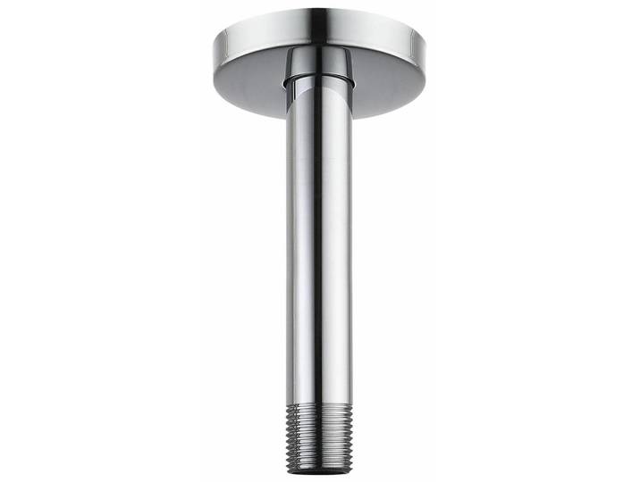 Duscharm mit Flansch, Deckenmontiert, 15cm Rund, Edelstahl, 1/2 NPT