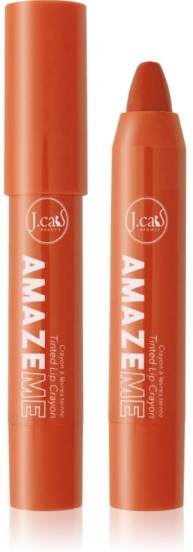 J.Cat Beauty Amaze Me cream lip liner shade 108 Hey Babe 4 g