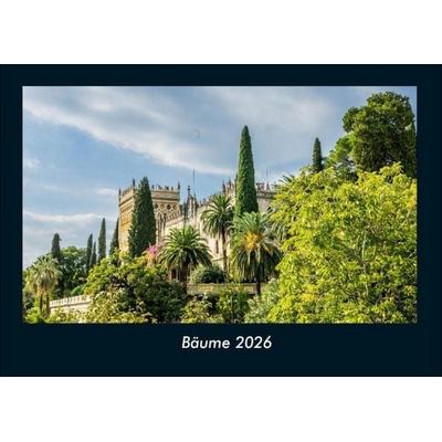 Bäume 2026 Fotokalender DIN A4