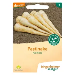 Bingenheimer Saatgut Pastinake Aromata demeter