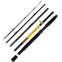 WFT Never Crack Catfish Boat LTC 2,60m 200-1000g 5 Teile Welsrute Reiserute