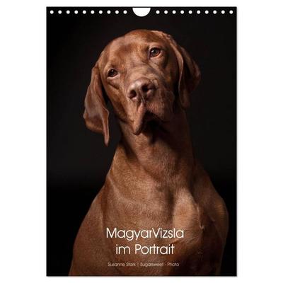 Magyar Vizsla im Portrait (Wandkalender 2027 DIN A4 hoch), CALVENDO Monatskalender
