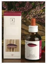 SANTIVERI Sa ACER CAMPESTRIS MG 50ML STV