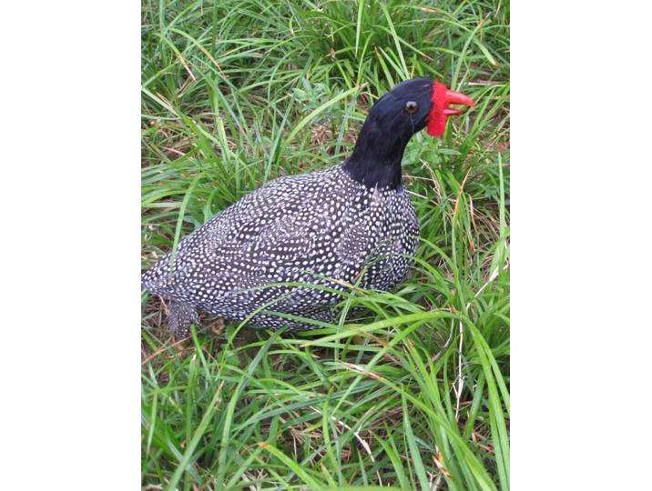 Grand modèle de simulation de pintade en mousse et plume, oiseau de poulet, cadeau, environ 40cm, xf2982