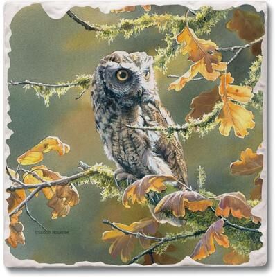 Thirstystone "Screech Owl 4 Pack Tumbled Tile Stone Coaster with Protective Cork Backing Manufactured in The USA 4"" Square"
