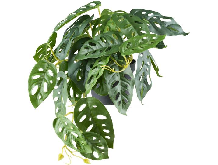 Kunstpflanze Hänger Monstera H24cm grün - Material: Kunststoff