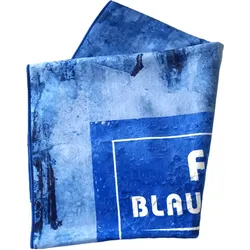 FC Blau-Weiß Linz Handtuch - blau / ONE SIZE