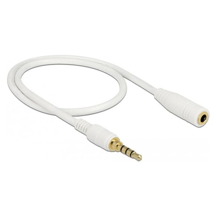 Delock 85628 Audio-Kabel (0.50 m) (85628)