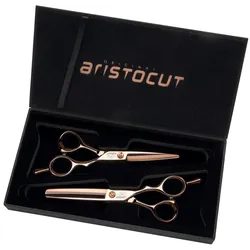 Aristocut Scherenset Sunset 6.0 + 40T