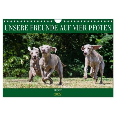 Unsere Freunde auf vier Pfoten - Hunde (Wandkalender 2027 DIN A4 quer), CALVENDO Monatskalender