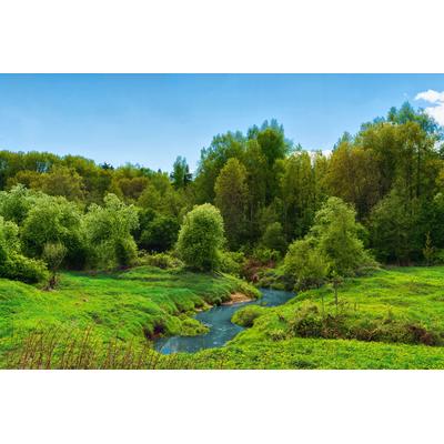 Fototapete PAPERMOON "FLUSS IM WALD-BAUM NATUR DSCHUNGEL SONNE WEG WASSERFALL", bunt, B:5m L:2,8m, Vlies, Tapeten