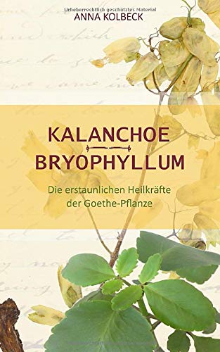 Anna Kolbeck - Kalanchoe - Bryophyllum: Die erstaunlichen Heilkräfte der Goethe-Pflanze - Preis vom 09.10.2026 07:28:09 h