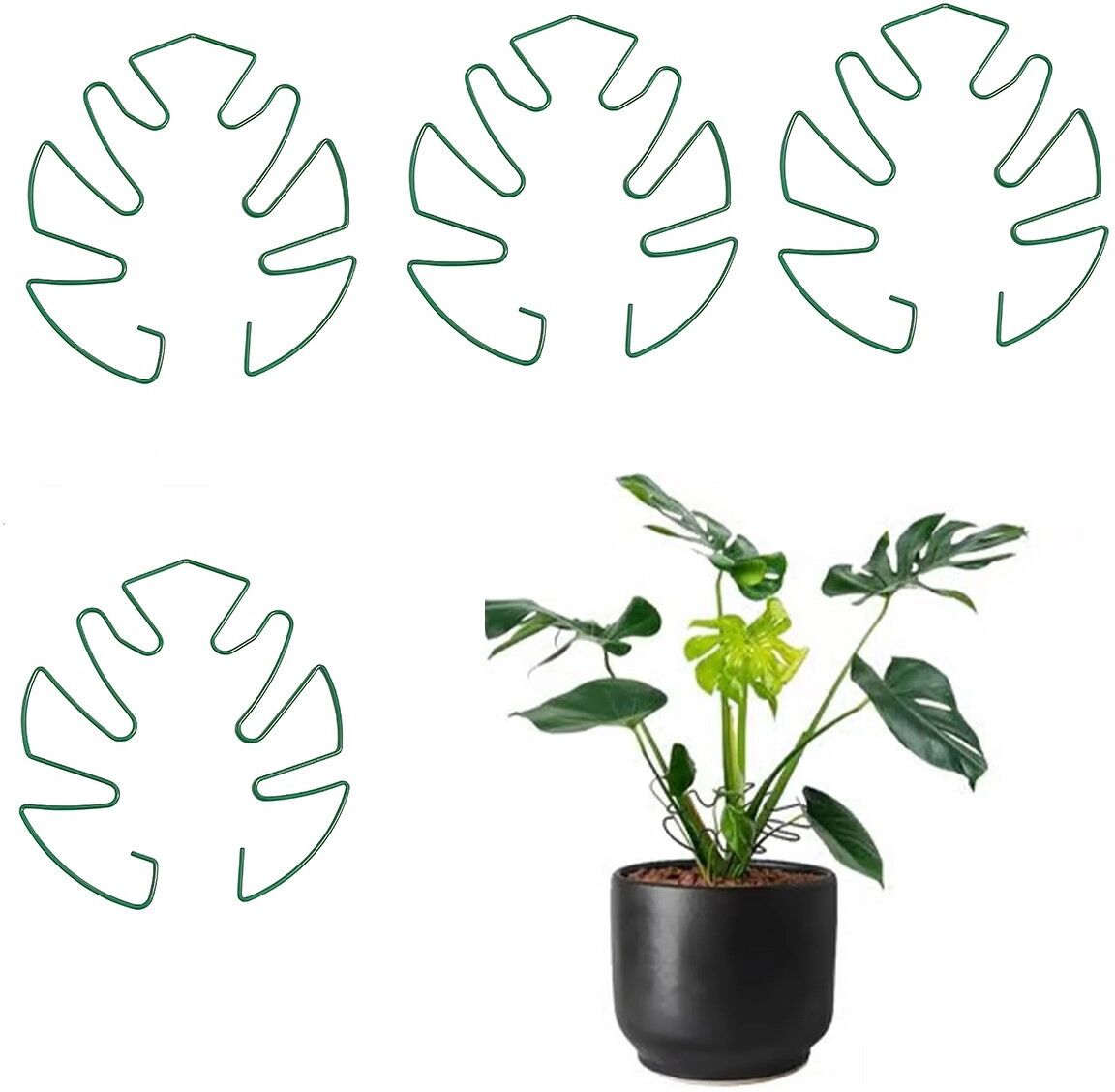 INF Pinces de support en fer compatibles avec Monstera et grandes plantes en pot, ensemble de 4 pièces Vert