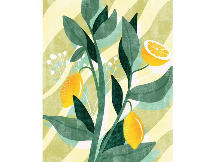 VLIESTAPETE LEMON FRESH