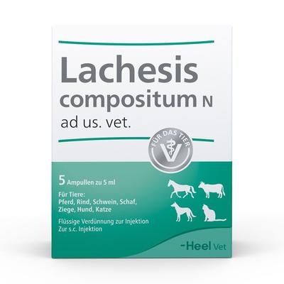 Lachesis Compositum N ad us.vet.Ampullen 5 St Ampullen