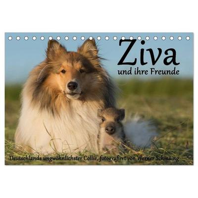 Ziva und ihre Freunde (Tischkalender 2026 DIN A5 quer), CALVENDO Monatskalender