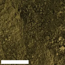 Kreidezeit Pigment Umbra grün, Zypern - 5 kg Beutel