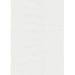 MEISTER Dekorpaneele MeisterPaneele. tertio DP 200 1280 x 200 x 9,5 mm 20127 Silver linings