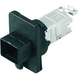 Weidmüller LWL-Steckverbinder IE-BS-V04P-RJ45-FJ-A Kupplung 1963500000