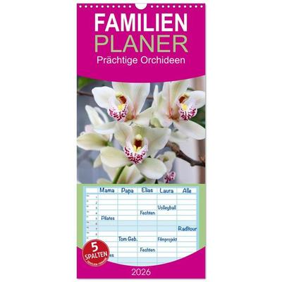 Familienplaner 2026 - Prächtige Orchideen mit 5 Spalten (Wandkalender, 21 x 45 cm) CALVENDO