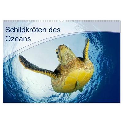 Schildkröten des Ozeans (Wandkalender 2027 DIN A2 quer), CALVENDO Monatskalender