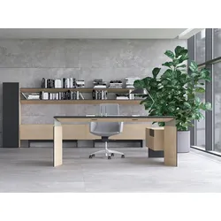 Komplettbüro Set Demio Chefschreibtisch und Bürowand