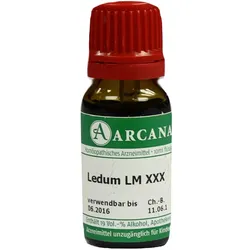 Ledum Arca Lm 30 10 ML