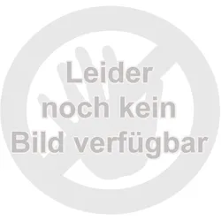 Holzmann Schleifstein für MS 7000
