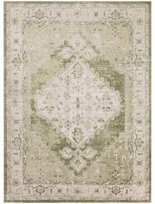 Nourison Astra Machine Washable Distressed Vintage Area Rug