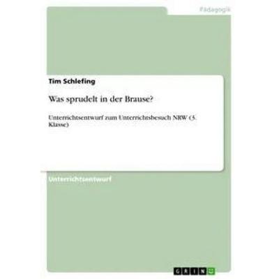 Was sprudelt in der Brause?, Taschenbuch von Tim Schlefing, GRIN, 978-3-668-84567-1